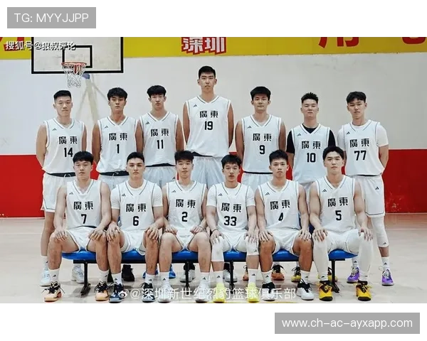 CBA球队阵容深度优化方案，cba篮球队伍